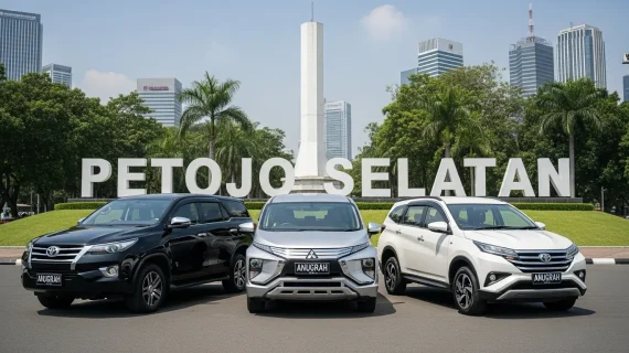 Rental Mobil Petojo Selatan