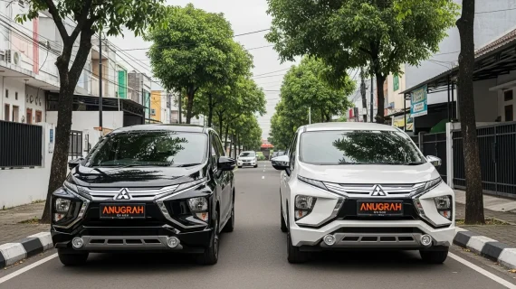 Rental Mobil Pulo